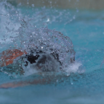 Swimmer